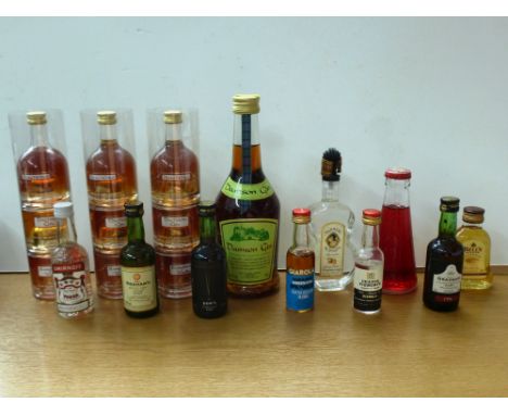 18 ASSORTED MINIATURES AND A BOTTLE OF DAMSON GIN
