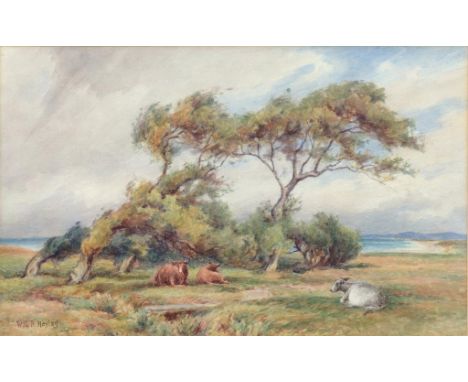 WILLIAM R HOYLES, CATTLE IN A FIELD, SIGNED, WATERCOLOUR, EARLY 20TH C, 24 X 40CM