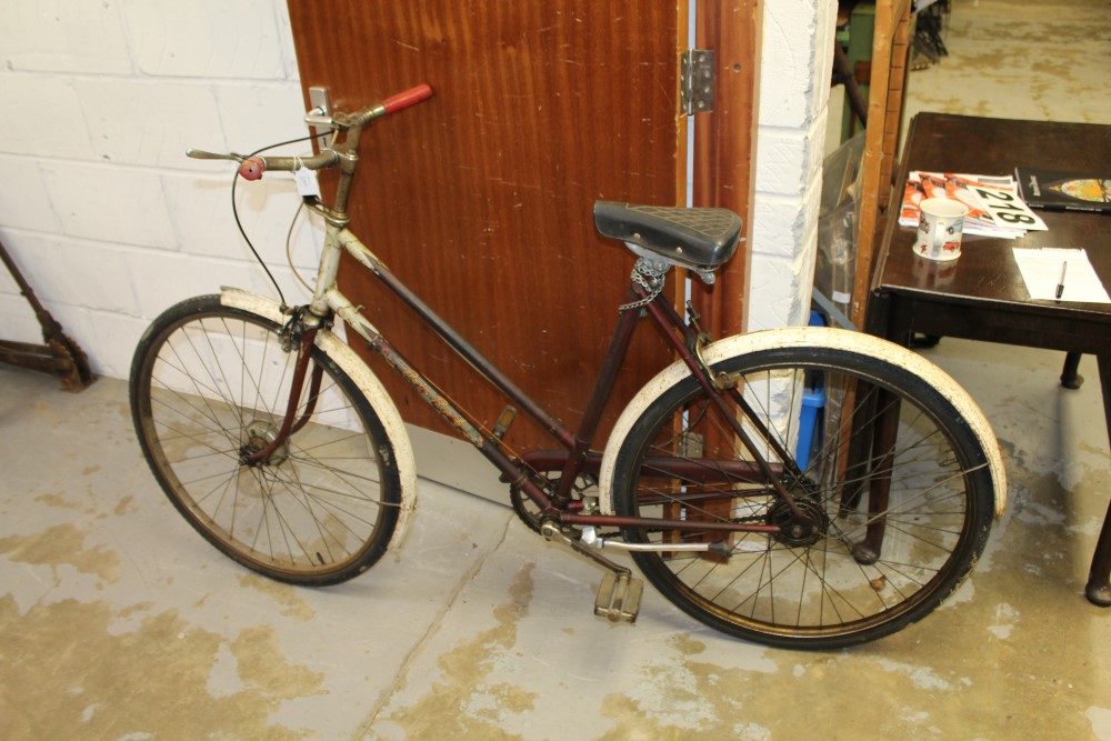 raleigh palm beach bike