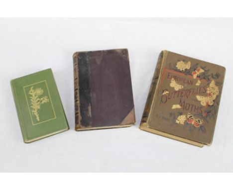 Books - W. F. Kirby - European Butterflies and Moths - published Cassell & Company 1899, extensive coloured lithograph illust
