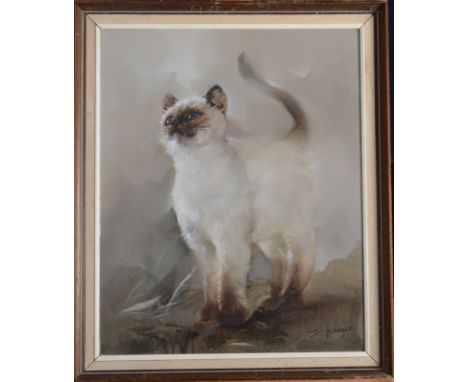 S BUSBEEPortrait of a ragdoll cat Oil on canvas Signed Together with a pastel portrait 