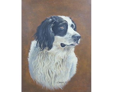 J. Caesar Smith (British, b. 1930): a canine portrait of a black and white spaniel signed 'Caesar '79', lower centre, oil on 
