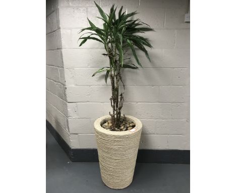 A large plant in a wicker planter. 