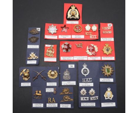 A COLLECTION OF TWENTY FOUR BADGES FOR FOREIGN UNITS, AND ANCILLARY UNITS. A collection of badges for various units including