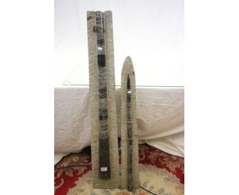 Large Orthoceras Fossil, mounted on concrete