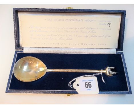Modern silver large commemorative spoon 'The Truro Centenary Spoon' Limited Edition no. 29 by W.A. Vage &amp; Sons Ltd, Truro