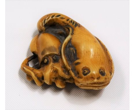 18th/19th Century Japanese ivory carved Netsuke, carved as a cuttlefish and catfish, the base signed, length 5.5cm.