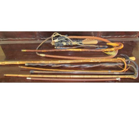 A collection of walking sticks and a whip
