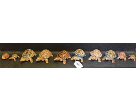 A set of graduated Wade novelty ceramic tortoises, other similar; etc.
