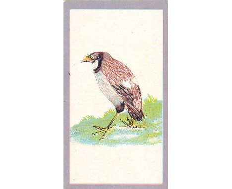 WILLS, Birds of the East, complete, Ruby Queen, G to VG, 50
