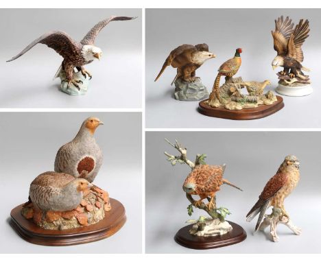 Country Artists, Goebel and Other Bird Models, including limited edition pair of partridges by A. Hayman, an eagle etc. (7)