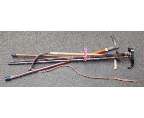 A Malacca Walking Stick with Gold Collar, a sectional wood walking stick with horn handle curved as a dogs head; two walking 
