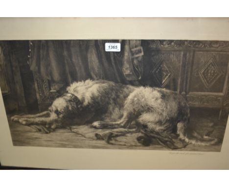 Herbert Dicksee, etching, study of a dog resting in an interior, monogrammed on plate, 18.5ins x 30ins including margins
