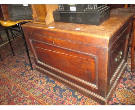 19th Century hardwood trunk having hinged cover with a panelled front, brass side carrying handles on plinth base with caster