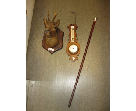 Deer's head wall trophy, small oak aneroid barometer thermometer and a white metal mounted walking stick