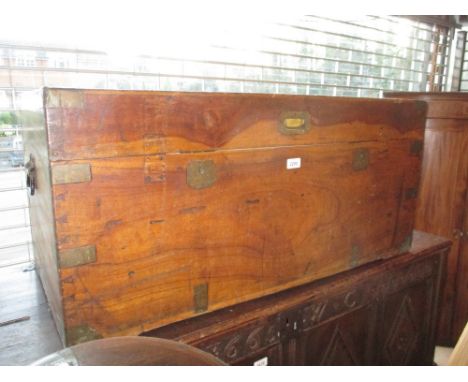 19th Century rectangular brass mounted camphor wood trunk with side carrying handles