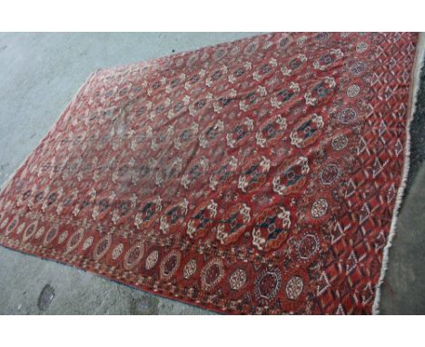 Turkoman carpet with five rows of twelve gols on a wine ground with multiple borders, 11ft x 7ft approximately (worn)