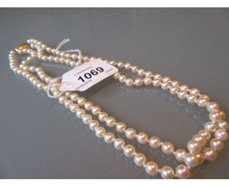 Uniform cultured pearl two strand necklace having 9ct yellow gold clasp