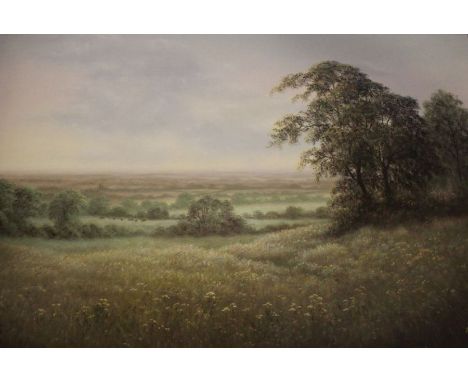 R Brown, landscape with cattle in the distance, oil painting on canvas, signed, framed