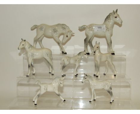 A Beswick Shire Foal, large, grey, 951, and six other grey foals, all gloss (7)