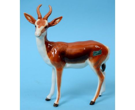 A Beswick Springbok, 1048, gloss  See illustration   Condition report  Report by NGNo visible damage or repair.Slight crazing