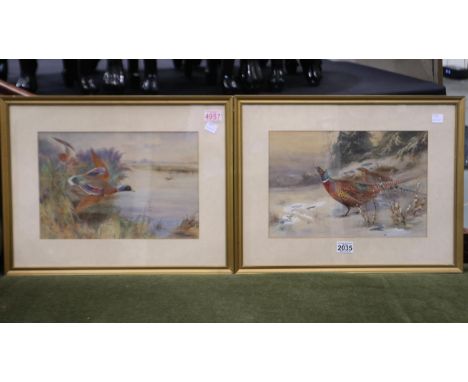 James Stinton (1870-1961): a pair of watercolours, game birds (pheasants and mallards), each 37 x 24 cm, frames 53 x 40 cm. S