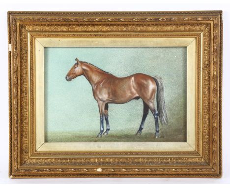 Watercolour/gouache, portrait of a horse, signed with initials PAS, 18cm x 28cm, framed 