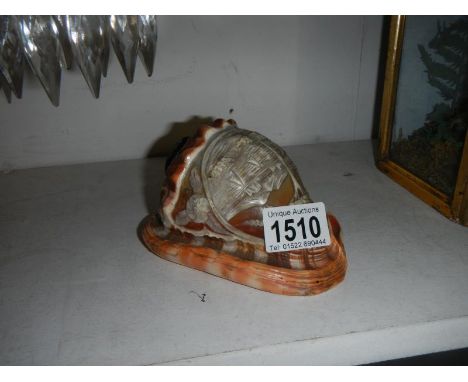 A carved cameo shell lamp shade