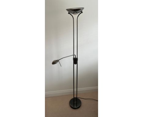 A chrome standard lamp with flex side light 