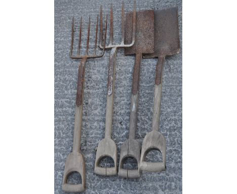 A group of garden tools