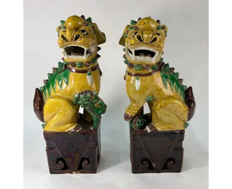 A pair of Chinese porcelain sancai glazed Dogs of Fo seated on a square plinth, 20th century, 40 cm to/w two Chinese scrolls 