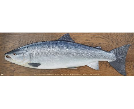 A CARVED WOODEN MODEL OF AN ATLANTIC SALMON BY ROGER BROOKESThe naturalistically carved and painted salmon on wooden mount in