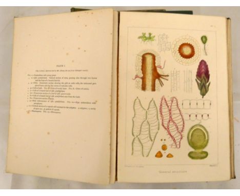 BRAITHWAITE R.&nbsp;&nbsp;Sphagnaceae or Peat-Mosses of Europe &amp; North America. 26 col. &amp; other eng. plates. Small qu