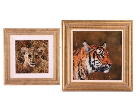 Stephen Park (British, b.1953), Stalking Tiger, signed 'Stephen Park' (lower right), oil on board, 39 x 39 cm, framed 56.5 x 