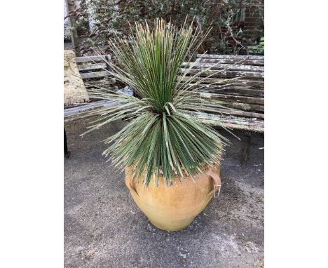 A circular terracotta garden planter, diameter 60cm, height 56cm. Condition - fair