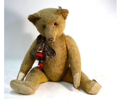 A large Steiff-type hump-back Teddy bear, early 20th century, long arms, long snout, black button eyes, felt pads, growl box,