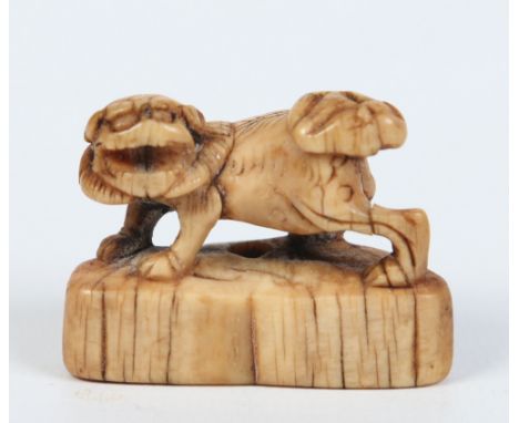 A Japanese Edo period carved ivory netsuke in the form of a Shi Shi dog statant guardant, 4.5cm. Condition Report. To be used