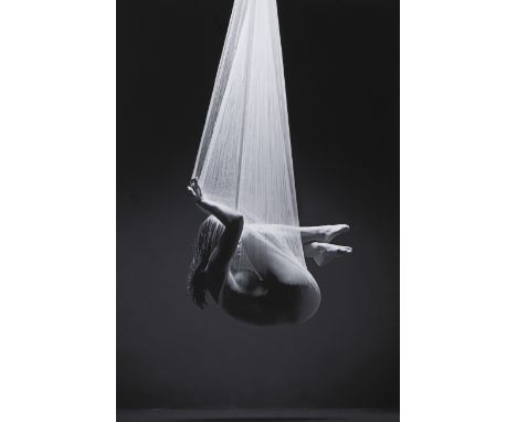 MICHAEL PAPENDIECK (1970) - Lambda-Print auf Alu-Dibond, ¨Body Network III¨, rückseitig auf Aufkleber der Galerie Lumas in Ti