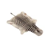 Y A PRESERVED ZEBRA SKIN, EQUUS QUAGGA, 20TH CENTURY