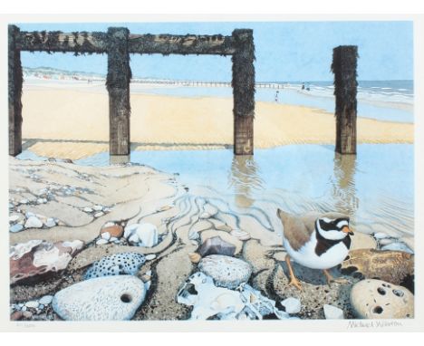 Michael Warren (born 1938)/Bird at the Shore/limited edition 211/300/lithograph, 20cm x 28cm/and another print Golden-Eye Duc