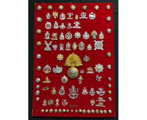 Collection of British Army Staybrite Cap badges, collar dogs, buttons and shoulder titles all mounted a display board. 
