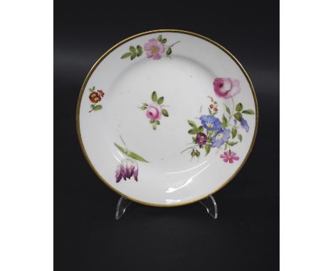 SWANSEA PORCELAIN BOTANICAL PLATE the plate painted with sprays of various flowers and foliage, and with a simple gilded band