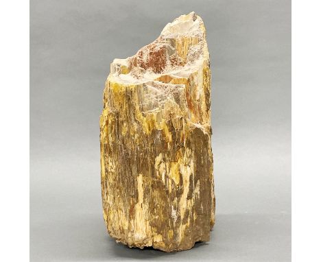 Fossil interest. A substantial trunk of petrified wood, H. 33cm.