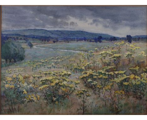 Ethel Horsfall Ertz: watercolour sketch, landscape with distant river, 12" x 16", in strip frame, and a watercolour, still li
