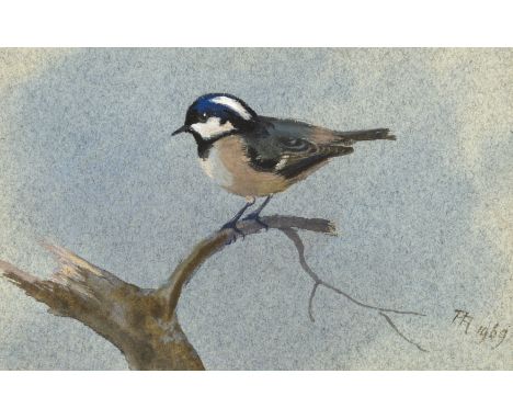 Rickman (Philip) A Selection of Bird Paintings and Sketches, one of 26 copies signed, specially-bound and with an original wa