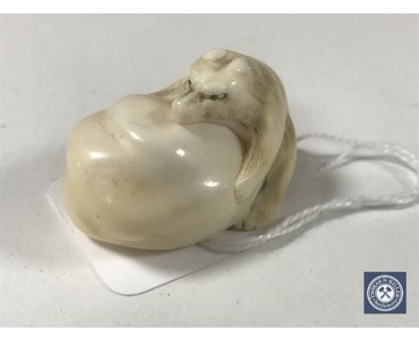 An ivory netsuke - Beast on Rock. 