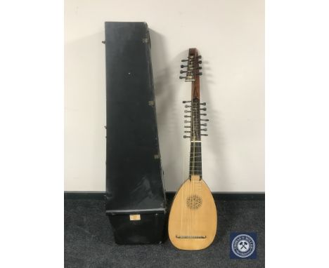 A 23-stringed bowl back lute in carry case