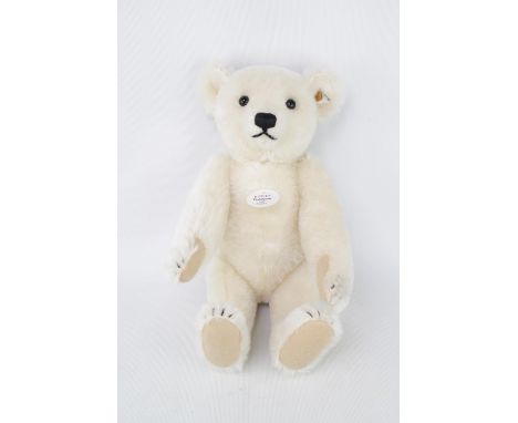 Steiff White Bear 1922 35cm boxed with COA 