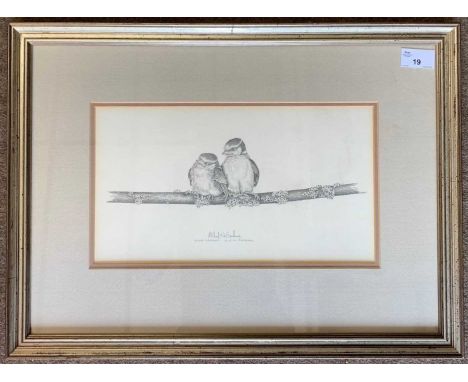 Micheal N.Oxenham (b.1949), 'Blue-Tit Fledglings', original pencil study from which a limited edition of 500 lithograph print