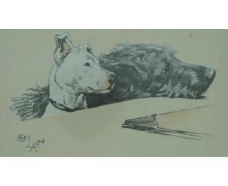 A Cecil Aldin print of two dogs looking over the top of a desk (7 x 12cm)